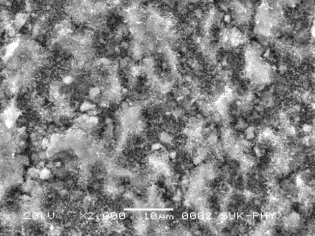 P. Ghotane and K. Deshpande Figure 2: The SEM image of CuNiO 2 thin film. 3.