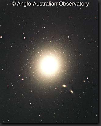 30 17 Elliptical Galaxies