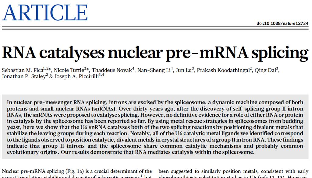 RNA Continues to Play a