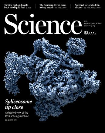Spliceosome Structures Solved: