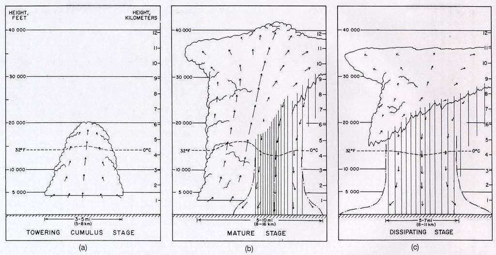 2. (10 points) Sketch and briefly describe the three stages of an airmass (single-cell) thunderstorm. Be sure to describe why such storms never last longer than approximately 1 hour.