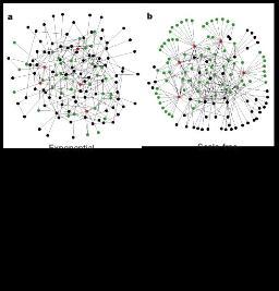 Comparing exponential and Exponential scale-free networks P(x) e x Most