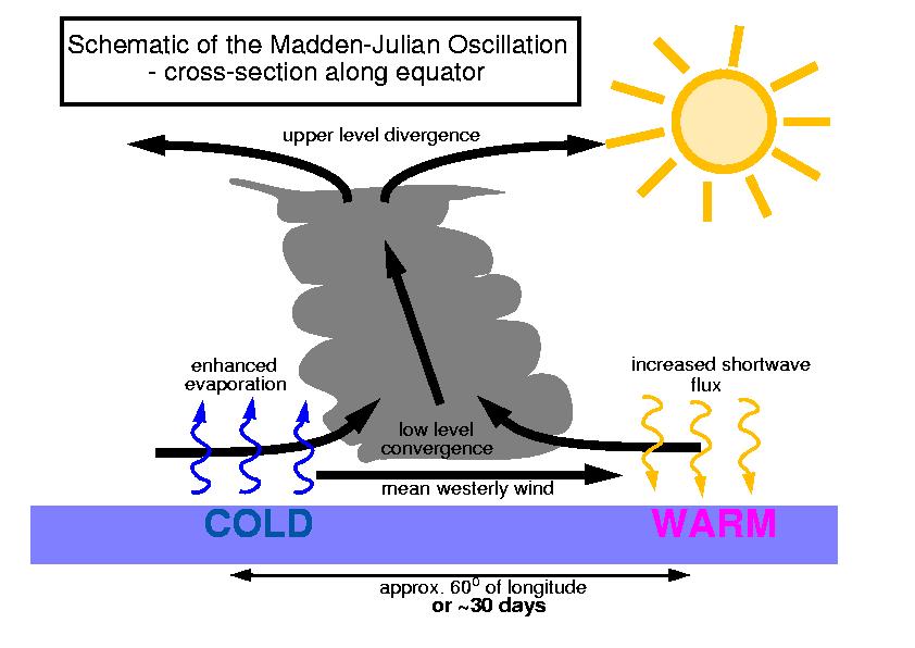 Madden-Julian Oscillation (MJO) A broad area of active