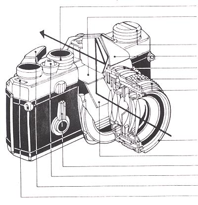 The amount of light allowed to react with the film can be controlled by varying the shutter speed (in seconds or fractions of a second) or the lens aperture (the larger the aperture, the more light