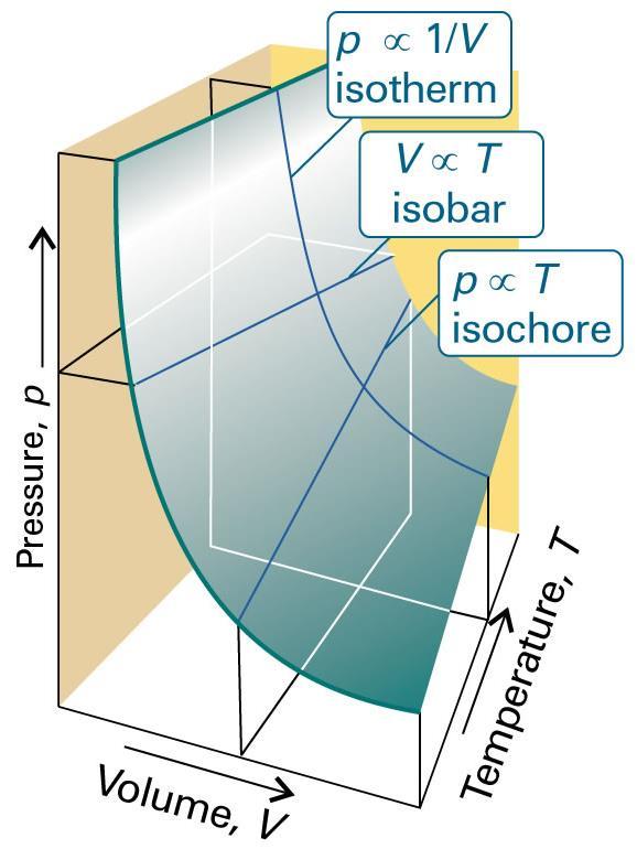 The isotherm, isobar and isochore correspond to the sections through