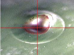 The sample has been pitted and photo degraded. Figure 9. Photo degradation of sample from the laser. The RamanStation 400 allows the analyst to control the power of the laser.