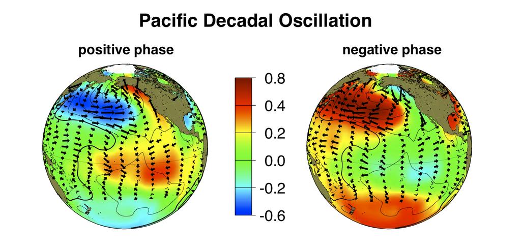 Appendix Pacific Decadal Oscillation The PDO, which represents the principal mode of variability of sea surface temperature in the Pacific Ocean, shifts between a positive (warm) and negative (cool)