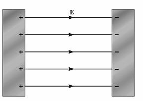 6. A proton is released from rest near the positive plate. The distance between the plates is 3.0 mm and the strength of the electric field is 4.0 x 10 3 N/C. a) Describe the motion of the proton.