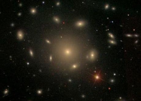 Giant ellipticals (cd galaxies) in