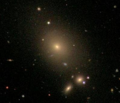 ellipticals in centers of some galaxy