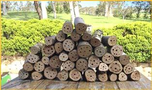 Build an insect hotel www.beesbusiness.com.