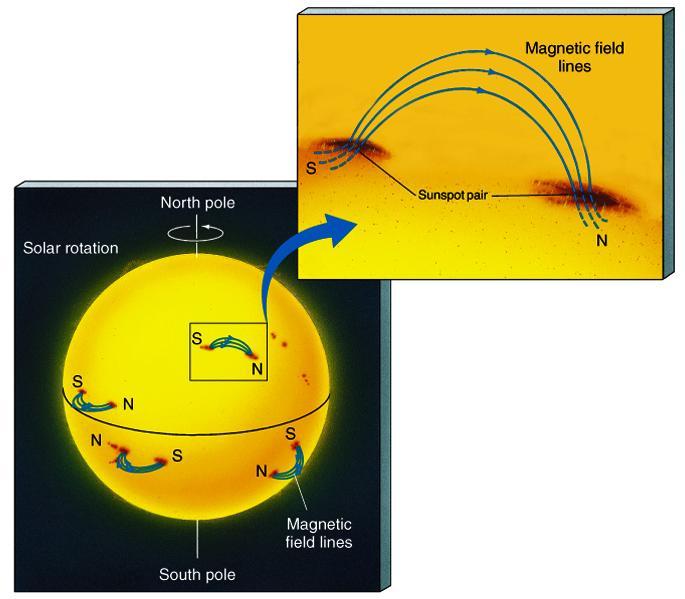 Sunspots & Magnetic Fields The magnetic field in a sunspot is 1000 times strongest than the surrounding area Sunspots are almost always in pairs at the same latitude