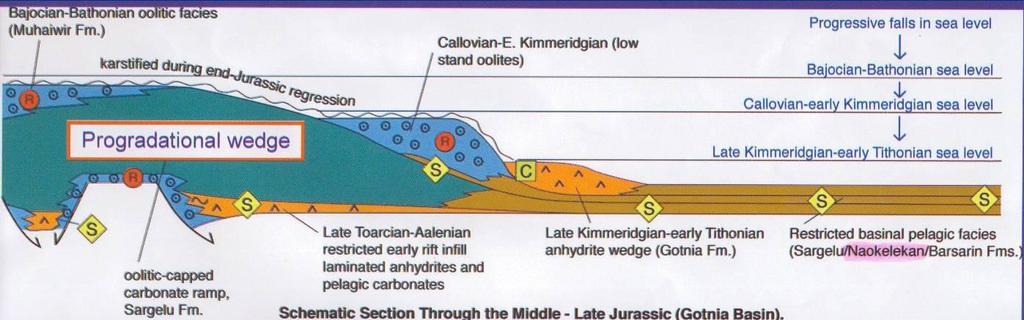In particular, Jurassic geologic condition of the Arabian subcontinent resulted in deposition of the following ideal sequence of primary petroleum system elements thick oil prone source rocks,