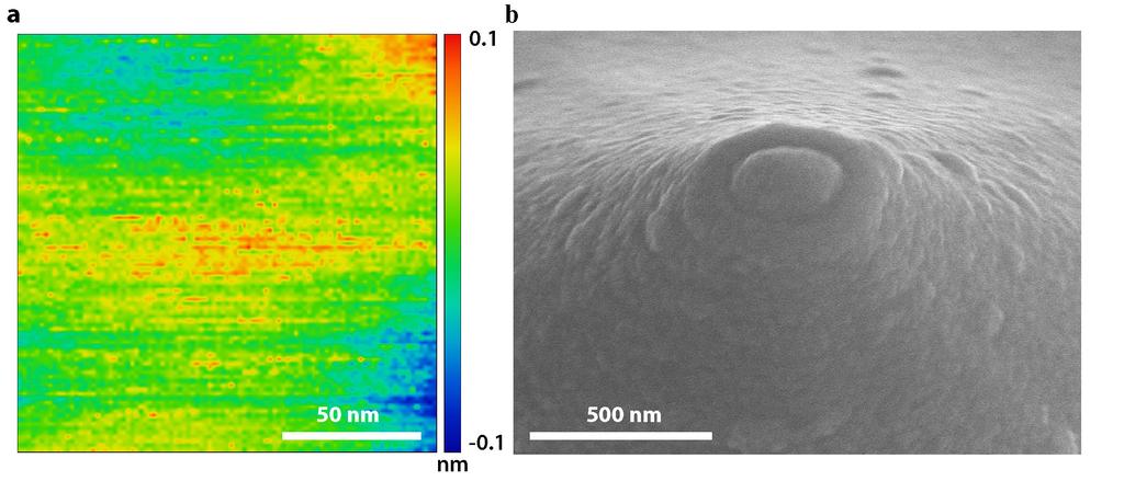 Supplementary Note 4: Surface Characterization The surface topography of template-stripped Au samples and Au-coated scanning probes were characterized by scanning tunneling microscopy (STM) and