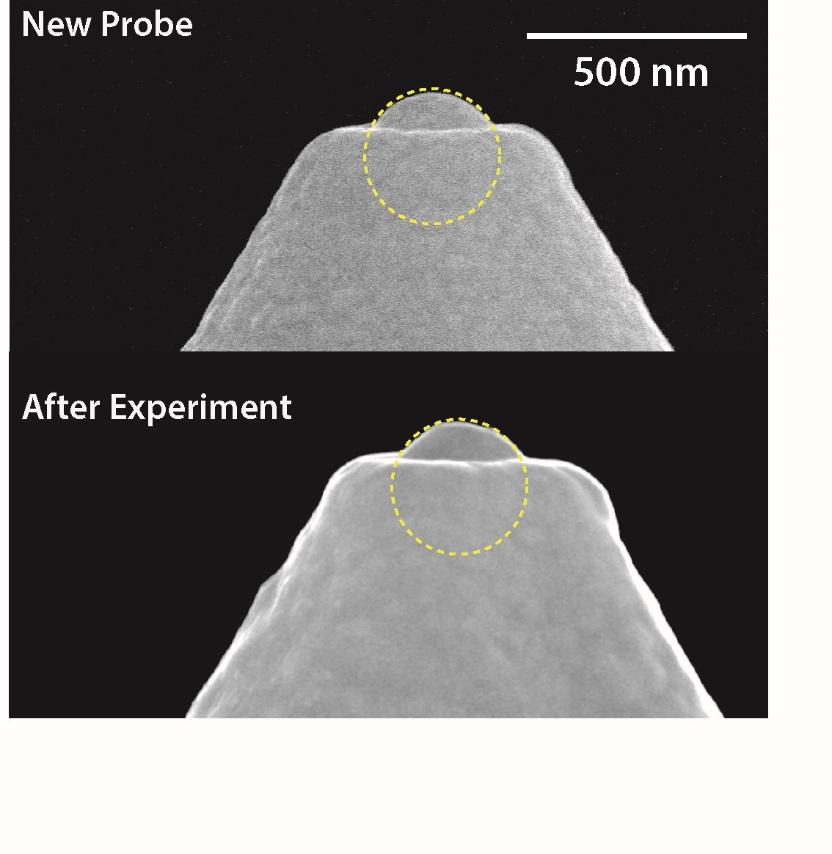 Supplementary Figure 7: SEM images of a pristine probe and a probe subjected to controlled crashing.