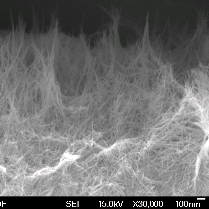 How titanate nanotubes can work better in DSSC?