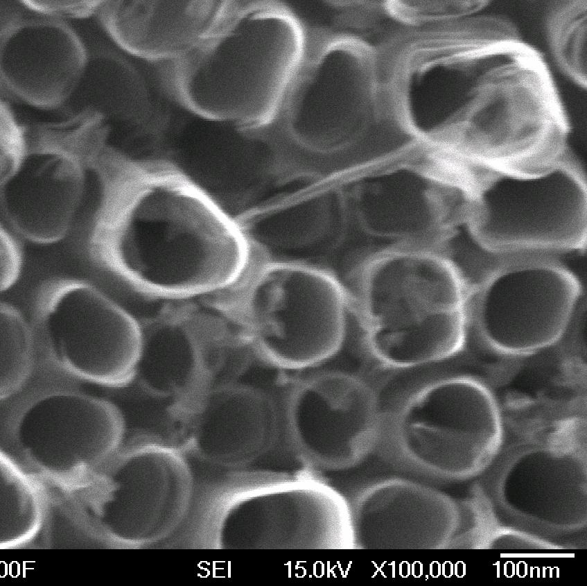 Incorporation of Titanate nanotubes into TiO 2 nanotubes array.