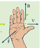 Magnetic Field of Earth Magnetic Force on Moving Charges Use the right-hand rule to determine the direction of the force: Flatten palm, fingers, and thumb.