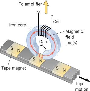 Applications of Electromagnetic Induction to the Reproduction of Sound Playback head of a tape deck As each tape magnet goes by the gap, some magnetic
