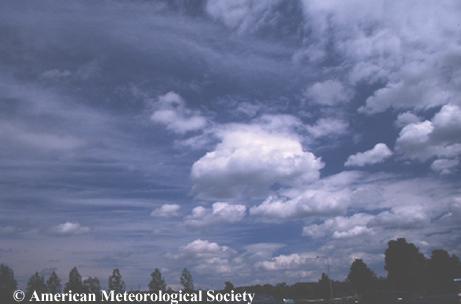 Cloud Forms Clouds may move in different directions at