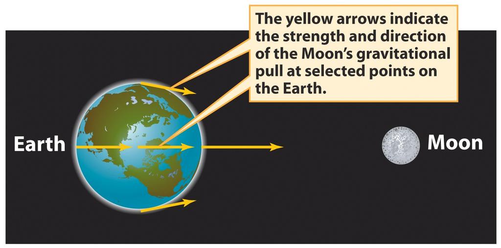 gravitational pull of the Moon at the center of the Earth