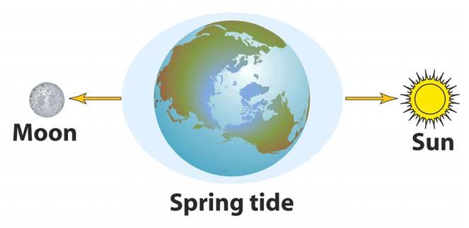 Gravitation: Tidal Force Spring tide the highest