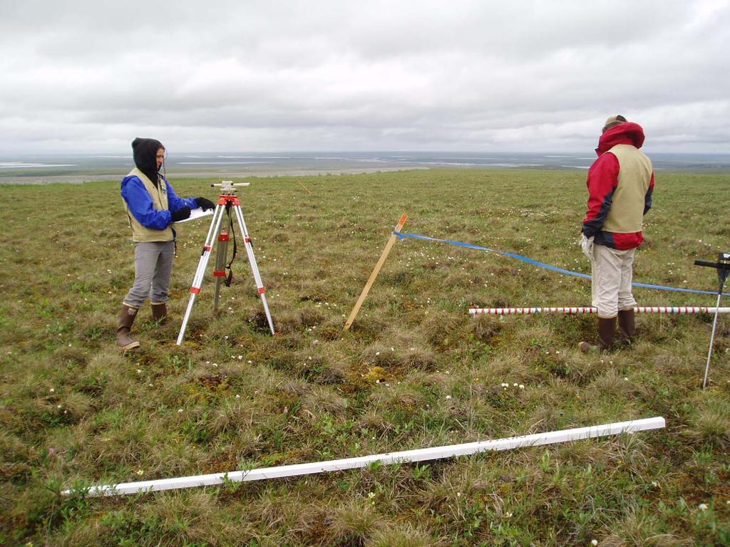 DATA COLLECTED Tussock Frequency and Disturbance Shrub Frequency and Disturbance Vegetative