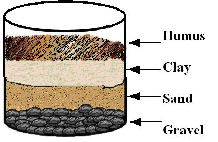 Use the following information and picture to answer questions 13 and 14. Several different soil materials were mixed together with water. The soil materials settled for a few days.