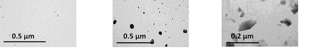 Gogoi, D. et al. Immobilization of Trypsin on Plasma Prepared Ag/PPAni Nanocomposite Film for Efficient Digestion of Protein. Mater. Sci. Eng., C 43, 237 242 (2014). 4. Hussain, A. A., Pal, A. R.