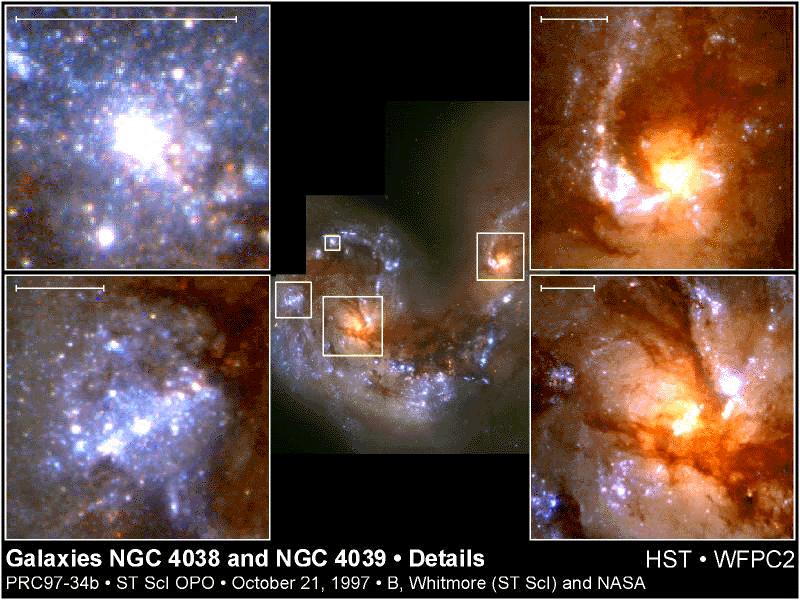 In merging galaxies Super-Star