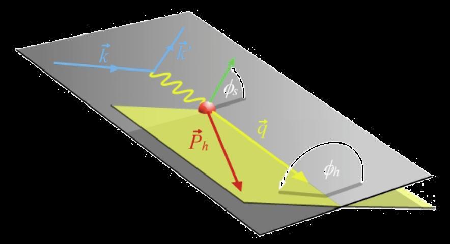 initial quark spin e-e plane