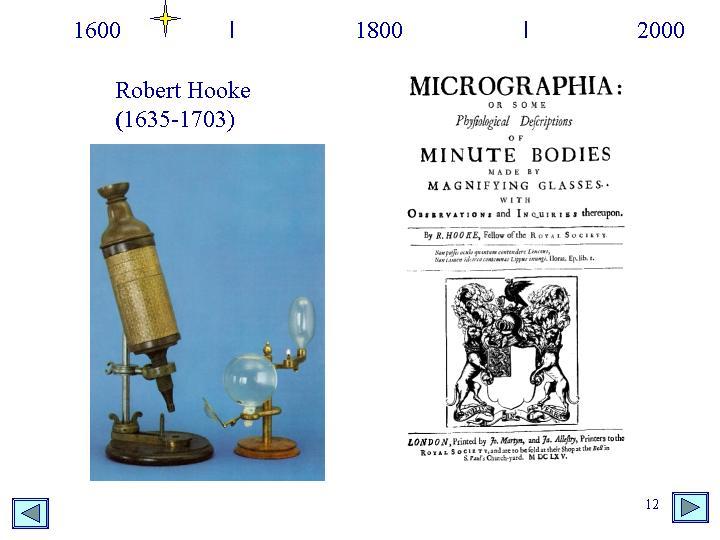 1665: Robert Hooke