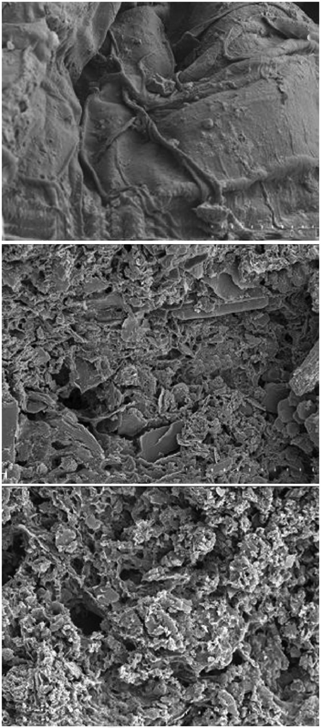 Carbonization and Steam Activation of Sludge The Open Process Chemistry Journal, 009, Volume zation time into 0.5-mm, 5-0%, 400-750 oc, and 0-10 minutes respectively.