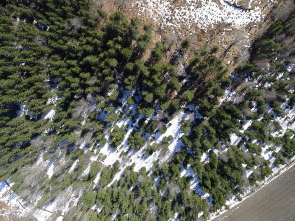 Figure 5: UAV photo (top left) and analysis of the snow cover in April 20, 2013 near Fiskars, Finland. Snow cover has been melting rapidly.