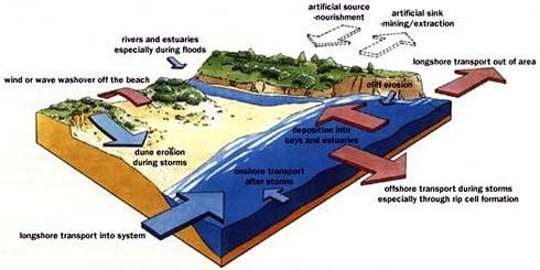 The Coastal System A Coastal area can be seen as a system which produces, transfers and deposits sediment.