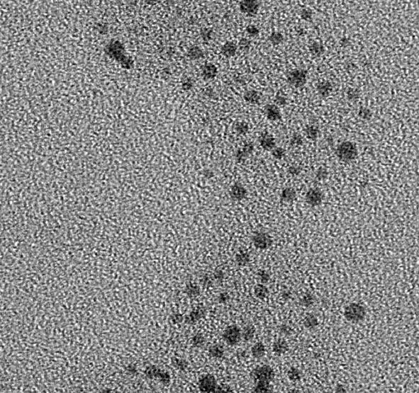 of gold nanoparticles