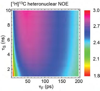 4. heteronuclear NOE measurements: Additional dynamics information in the