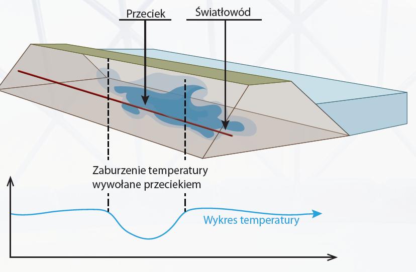 Methods of temperature measurements Leak Linear temperature sensor Single temperature sensors Temperature perturbations