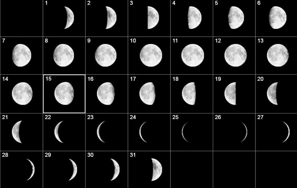 A lunar calendar depicting the