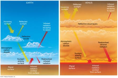 9.5 The Atmosphere of Venus Venus is the victim of a runaway greenhouse effect just kept