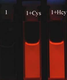 Fluorescence Intensity (a.u.) 12 1 8 6 4 2 Hcy Fluorescence intensity (a.u) 8 7 6 5 4 3 2 1 R 2 =.99..5 1. 1.5 2. 2.5 3. [Homocysteine] 1-5 M 55 6 65 7 75 8 Figure S9.