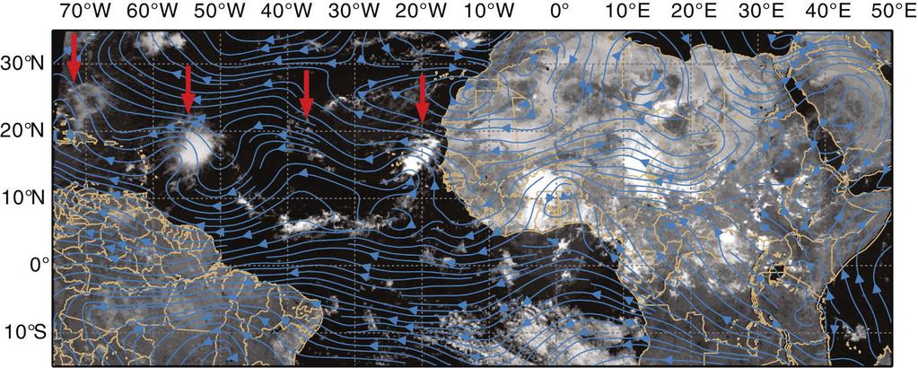 Tropical Disturbance: Tropical weather system 100 to 300 nmi in diameter Originates in tropics or