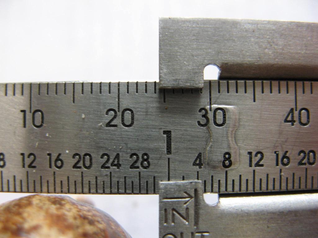 Measuring with Calipers USE millimeters (mm) (NOT inches) the plant must expend energy in producing gall tissue, it would be
