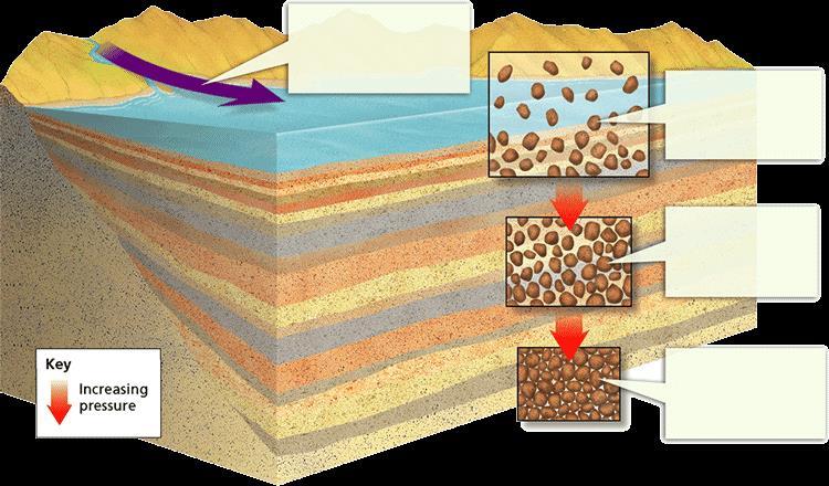 Sedimentary Rock Recipe 1. Rise to the Surface (Above the water) 2. Weather (Break up rock into sediment) 3. Erode (Carry away the sediment) 4. Deposition (Dropping the sediment) 5.