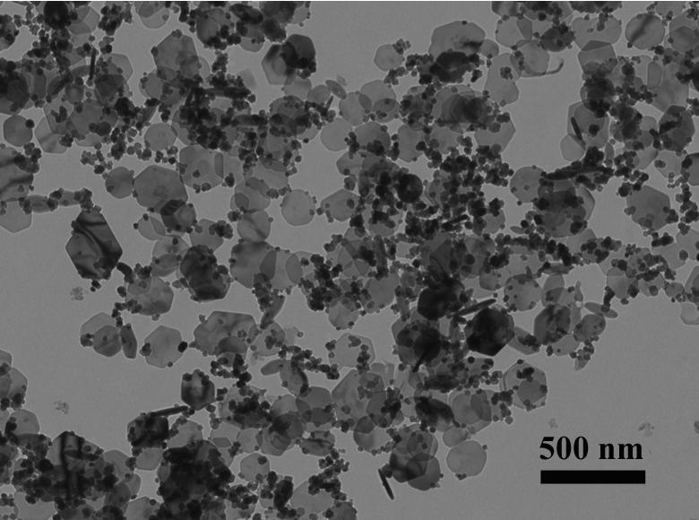 Fig. S1 TEM image of the product