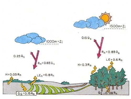 Land Surface-Atmosphere Interactions Schematic of the differences in