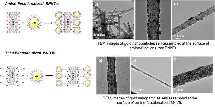 Self-Assembly of Gold Nanoparticles at the
