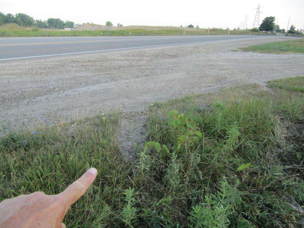 Figure 15: View, looking northward, toward the tire marks on the