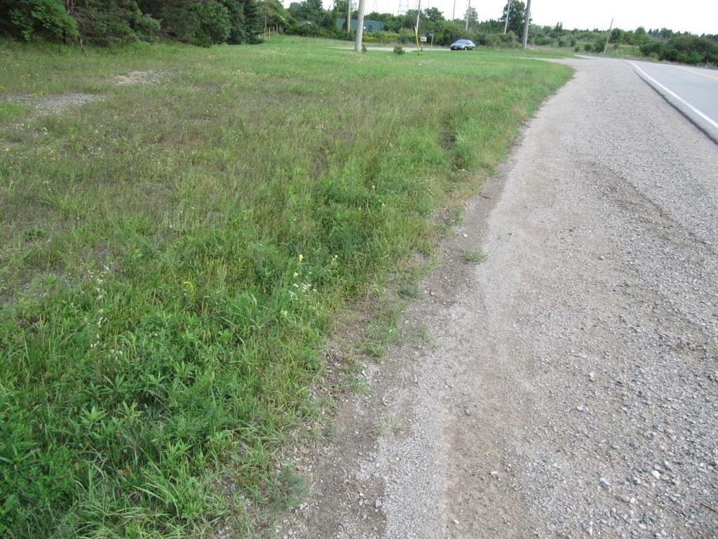Figure 31: View, looking south, at the tire marks showing the vehicle