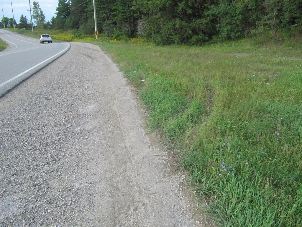Figure 32: View, looking north, at the tire marks as the rotating vehicle